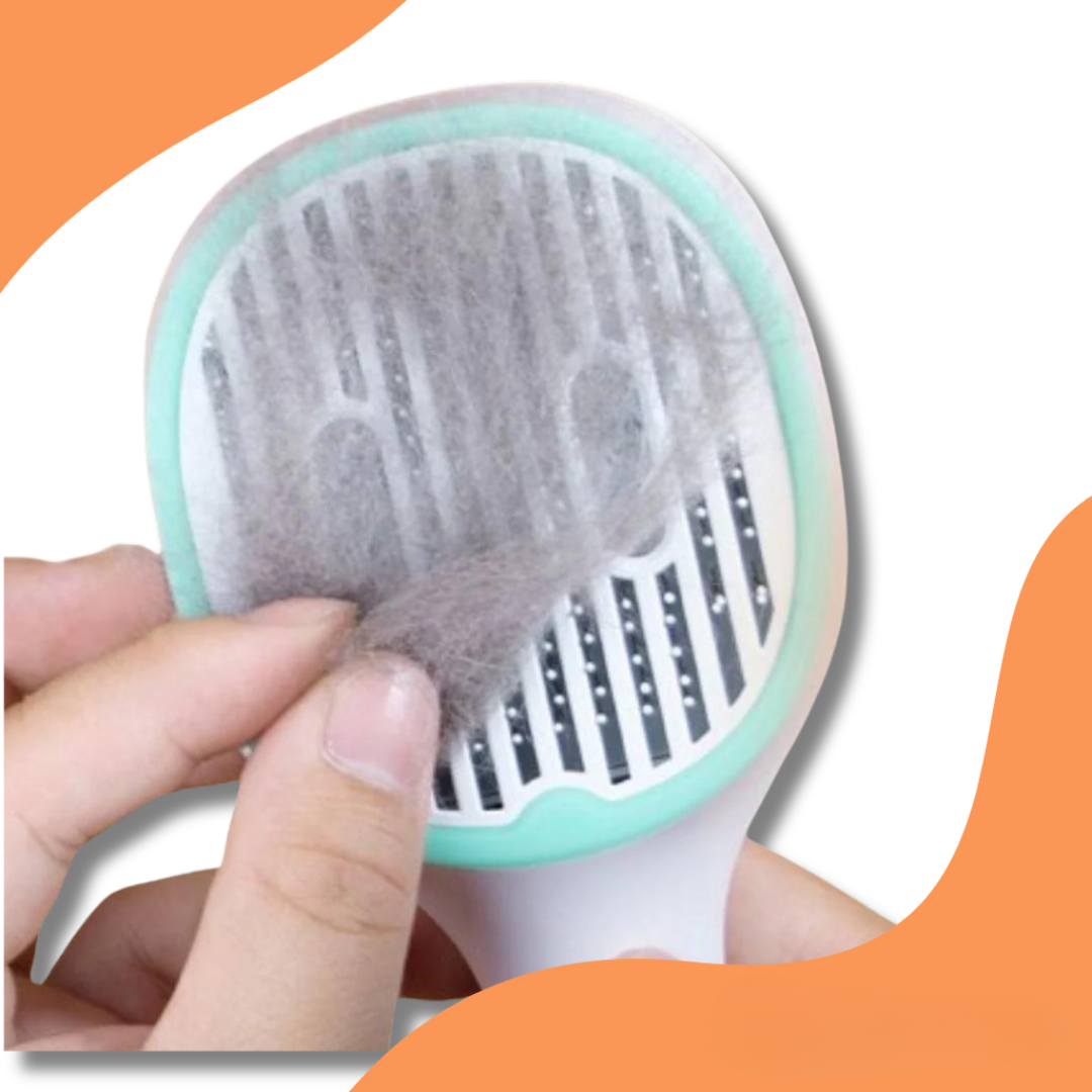 PurrifyBrush® (UV-teekborstel)